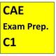 CAE exam prep.JPG