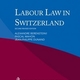 labour_law_s.jpg