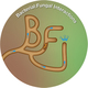 Logo_BFI_small.jpg